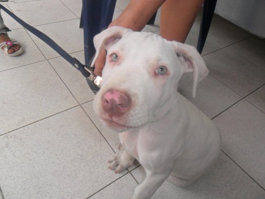 foto actual tiene 2 meses y medio.