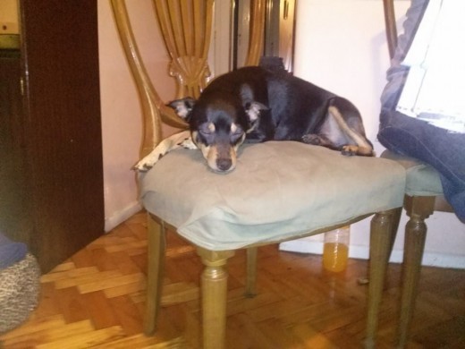 Descansando Descansando