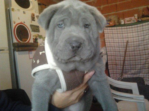 MI hijo SIMON:)