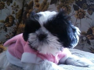 su primera fotito de mi nenitaa su primera fotito de mi nenitaa