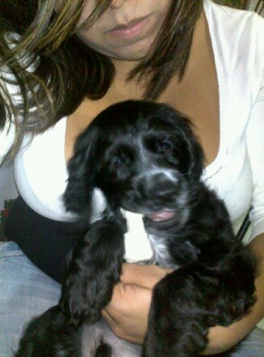 1 mes y medio!!!! 1 mes y medio!!!!
