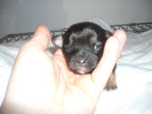 mi nueva nena :-) mi nueva nena :-)