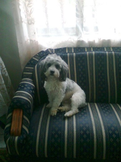 TE AMO Y TE EXTRAÑO TE AMO Y TE EXTRAÑO
