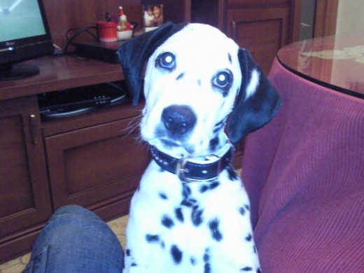 con 3 meses....increible,,,, con 3 meses....increible,,,,