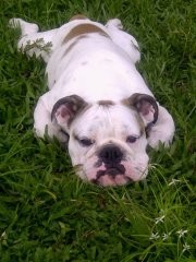 cansadito el bb Jjejeje 