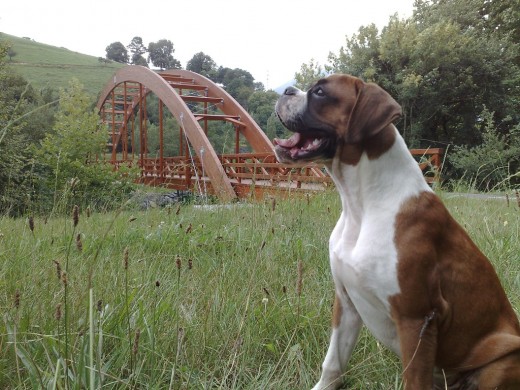 6meses 6meses