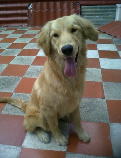 Maggie <3 