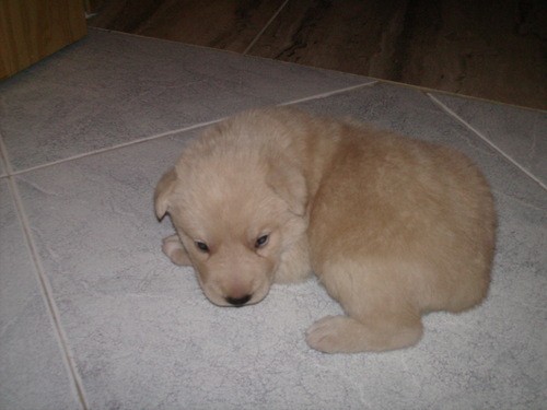 Kyra con 15 dias Kyra con 15 dias