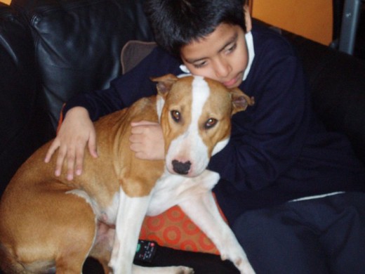 Tana con mi hermano :)
el primer dia que la tuvimos en casa