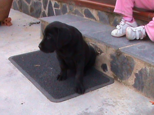 Sentada al lado de mi nieta.