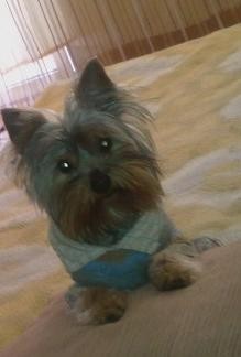 Mi preciosidad!!!