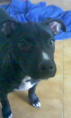 Doni con 3 meses