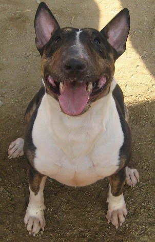 Lola! 
