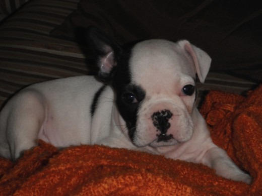 Con 3 mesitos!! =) Con 3 mesitos!! =)