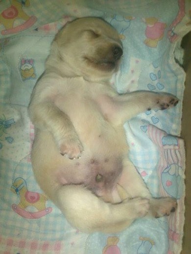 DURMIENDO DURMIENDO