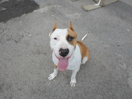PERRY 8 MESES