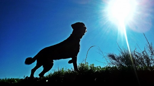 El enano disfrutando de un paseo por el campo !