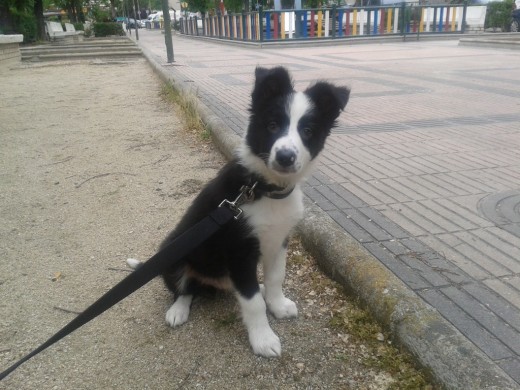 Primeros paseos!