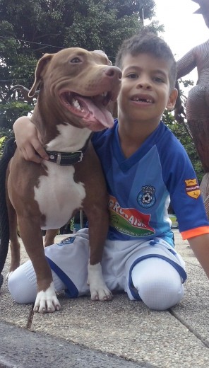 apbt 1 año