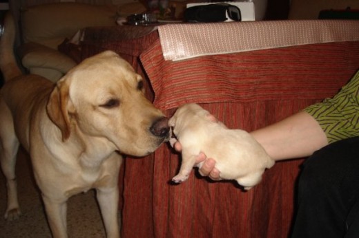 Conociendo a uno de sus hijos!!!