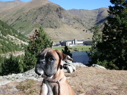 Con 4 meses y medio: Iniciación a la montaña. Excursión por los Pirineos. 