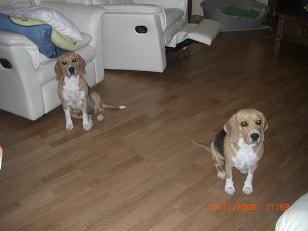 nora y peque
nora y peque