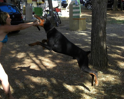 Aqui mi chiquitin se hacia mayor. Aqui mi chiquitin se hacia mayor.