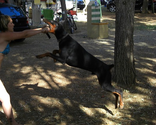 Aqui mi chiquitin se hacia mayor.