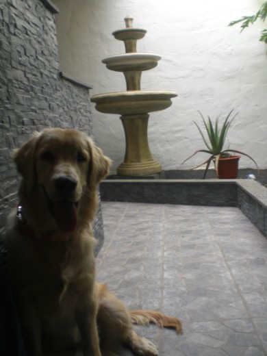 ORI POSANDO PARA UNA FOTO EN EL JARDIN DE NUESTRA CASA.