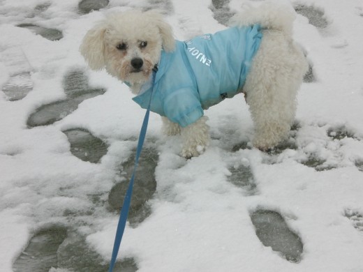 En la nieve. Uf qué frío.