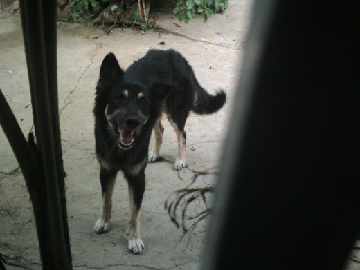con su cara de lokito jjajajaa con su cara de lokito jjajajaa
