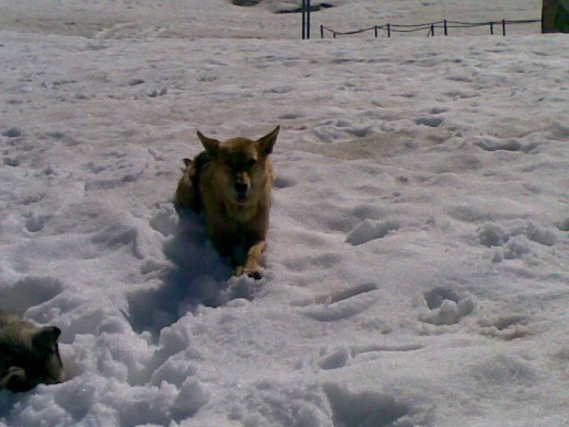 Primera vez en la nieve