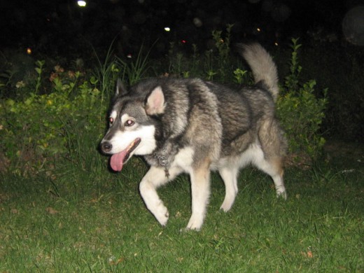 Camila en su paseo nocturno