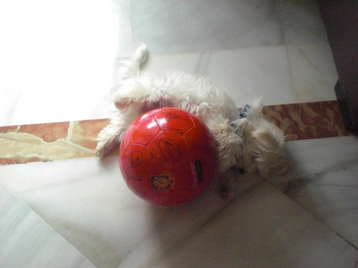 Jugando con la pelota antes de irnos