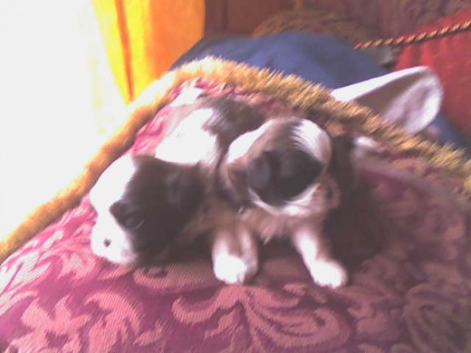 estoy con mi hermanita no se dode esta