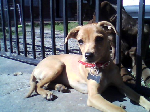 ai esta mi guagua :) Fiona ai esta mi guagua :) Fiona