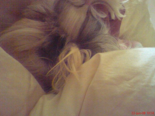 ssssssssssssssssssssssssssssssssss............mmmmmmmmmmmmmmmmmmmmmmmmmmmmm