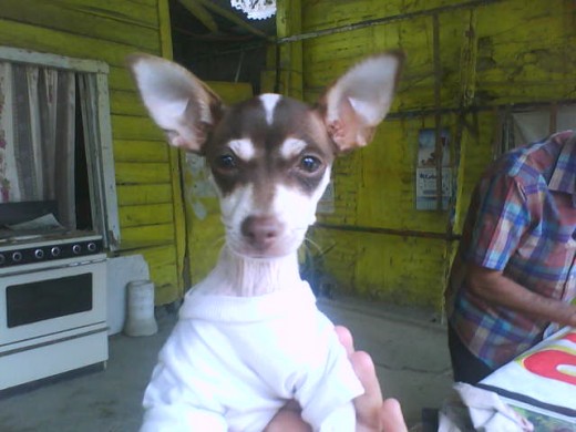 la  monita con su camiseta  jeje 