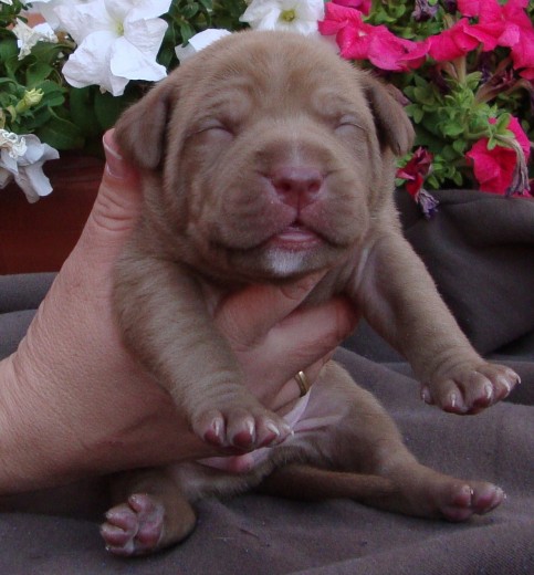 AKER 10 dias (KINA X DRAKO)