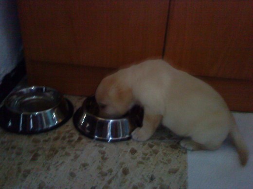 I no dejes nada en el plato!