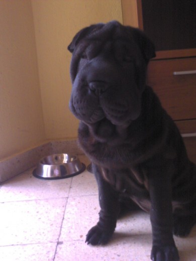 Mi niña posando para la camara Mi niña posando para la camara