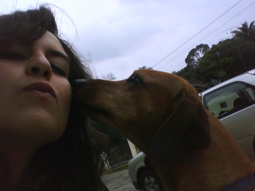 ya tiene algunas semanas que me dejo mi gordo.. pero quiero compartir algo que escribi ese dia para el:
Hoy se fue de mi lado un gran compañero.. un amigo que me acompaño a lo largo de mas de 10 años. Tu siempre me cuidaste, me protegiste. A pesar de tu tamaño, siempre tuviste el alma y coraje de un rottwailer.. NUNCA tendre otro perro como tu. Te recordare siempre como mi "novio", mi amigo, mi compañero y mi guardian.. tengo el consuelo de tener un cachorro tuyo conmigo, nos recordara siempre el gran perro que fuiste y siempre seras.. CHORI TE QUIERO Y TE QUERRE POR SIEMPRE =') ya tiene algunas semanas que me dejo mi gordo.. pero quiero compartir algo que escribi ese dia para el:
Hoy se fue de mi lado un gran compañero.. un amigo que me acompaño a lo largo de mas de 10 años. Tu siempre me cuidaste, me protegiste. A pesar de tu tamaño, siempre tuviste el alma y coraje de un rottwailer.. NUNCA tendre otro perro como tu. Te recordare siempre como mi "novio", mi amigo, mi compañero y mi guardian.. tengo el consuelo de tener un cachorro tuyo conmigo, nos recordara siempre el gran perro que fuiste y siempre seras.. CHORI TE QUIERO Y TE QUERRE POR SIEMPRE =')