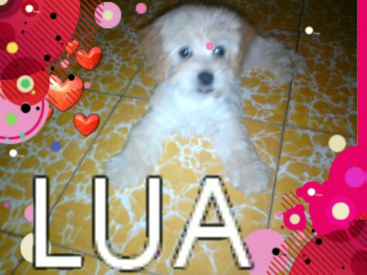 Aqui la pequeña Lua es hermosa