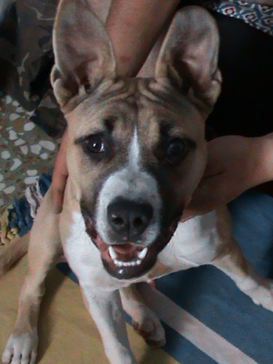 Mi niñoo más lindo  que es 