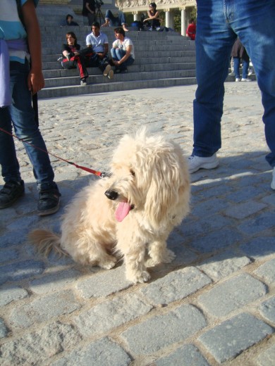 Un paseito por Madrid