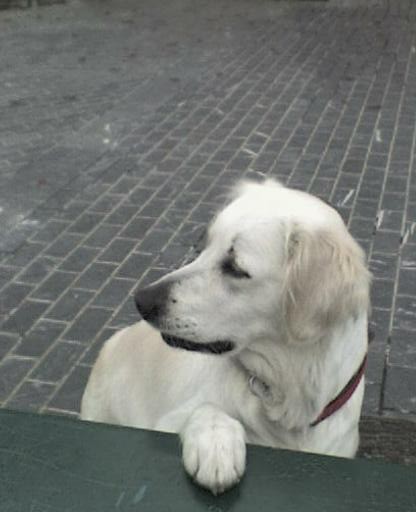 Aika hace 10 dias Aika hace 10 dias