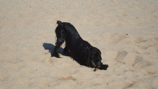 Jugando en la playa