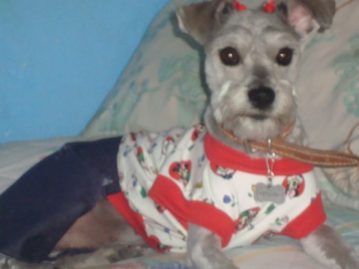 AQUI ESTA MUY CUCA EN LA CAMA SI NOS VIERA MAMA JAJAAJ AQUI ESTA MUY CUCA EN LA CAMA SI NOS VIERA MAMA JAJAAJ