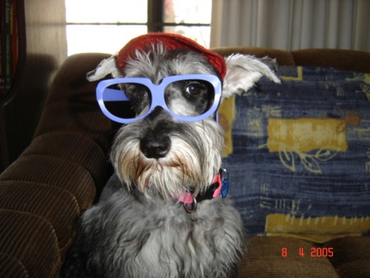 Hola!!! Aqui les dejo una linda foto de Cleo. Hola!!! Aqui les dejo una linda foto de Cleo.