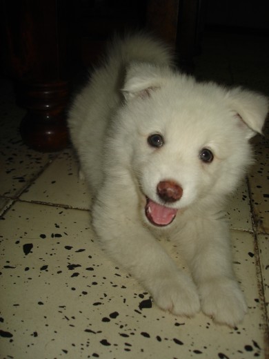 Coqueta y Hermosa (: